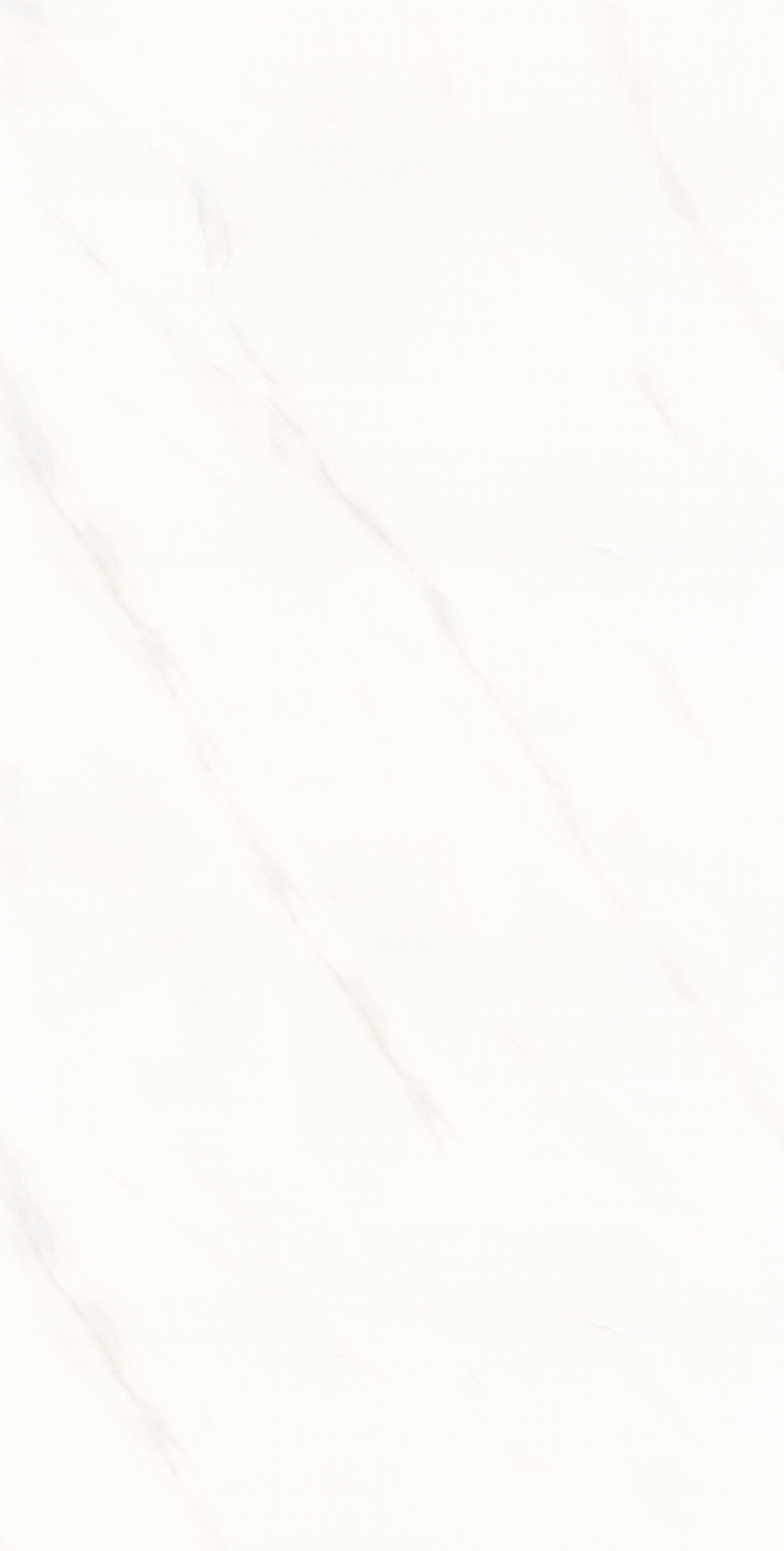 Kvant Bianco 60x120 cm || 24x48" Polished
